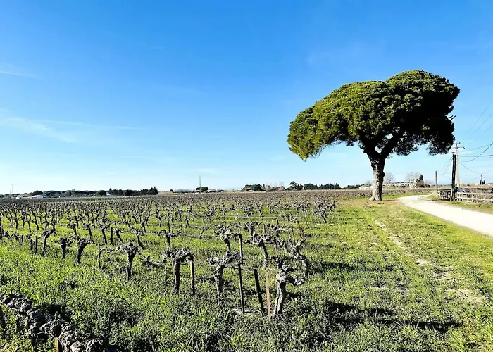 Les Du Mas - Rubis Aigues-Mortes